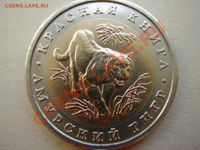 КРАСНАЯ КНИГА 1992г. Амурский тигр до 06.05.2012г. - P4150006.JPG