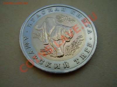 КРАСНАЯ КНИГА 1992г. Амурский тигр до 06.05.2012г. - P4150005.JPG