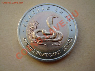 КРАСНАЯ КНИГА 1992г. Среднеазиатская кобра до 06.05.2012г. - P4150003.JPG