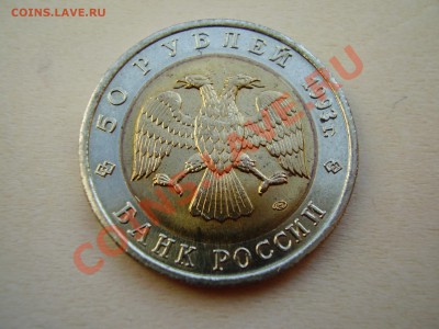 КРАСНАЯ КНИГА 1993г. Дальневосточный аист до 06.05.2012г. - P4150007.JPG