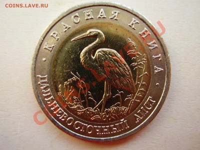 КРАСНАЯ КНИГА 1993г. Дальневосточный аист до 06.05.2012г. - P4150005.JPG