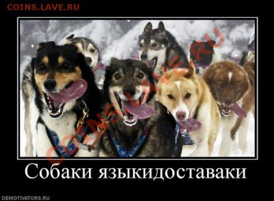 делает - прямо сейчас !!! - 837182_sobakiyazyikidostavaki