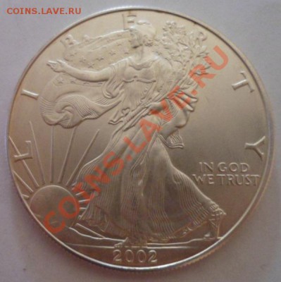 1 доллар США 2002 Свобода. Серебро. до 07.05.12 в 22:30 МСК - SAM_1576.JPG
