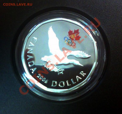 J16 AG Канада 2006 Sterling Silver Dollar до 09.05 в 22°° - J16 Lucky Loonie Sterling 2006_2