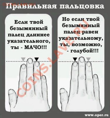 Вопросом на вопрос! - l1048750669