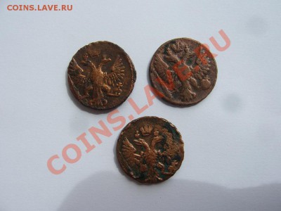 деньга 1748г 1749г 1750г до 6.05.2012г 22.00мск - P1090218.JPG