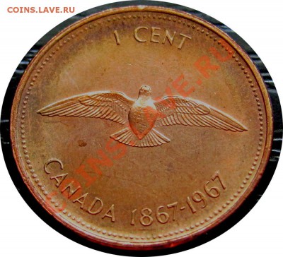 J19 Канада 1¢ 1967 Голубь до 09.05 в 22°° - J19 1c 1967t_2