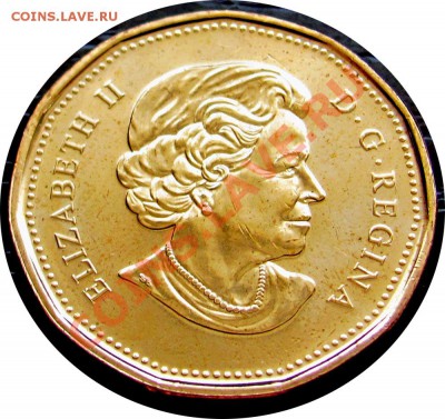 J25 Канада 1$ 2011 Нац. парки UNC до 09.05 в 22°° - J25 1$ 2011National Park_1