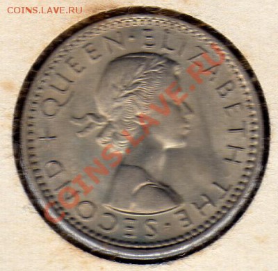 Н.Зеландия 6 пенсов 1963 Птица хуа до 07.05.12-20ч (2031) - img966