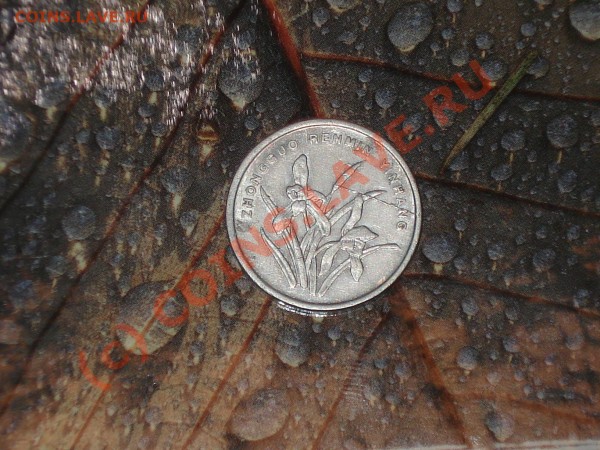 Китайская монета 2000г. Раскол штампа. - DSC04115.JPG