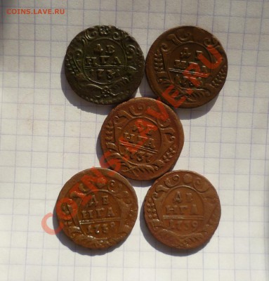 ДЕНГА 5 ШТ.1731-35-37-38-39г.(СОСТОЯНИЕ!)07.05.12 В 22.15. - P1020496.JPG