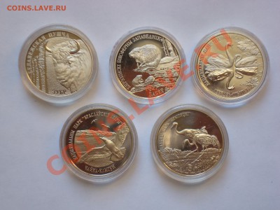 монеты Беларуси, продажа - DSC05997.JPG
