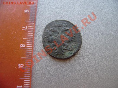 полушка 1730 г - P4190122.JPG