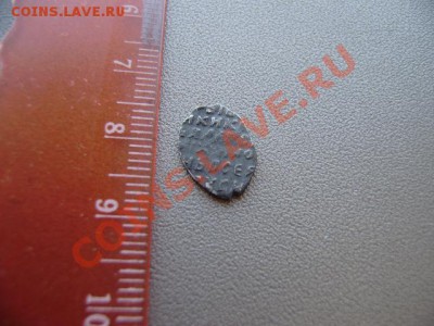 чешуя на определение - P4190132.JPG