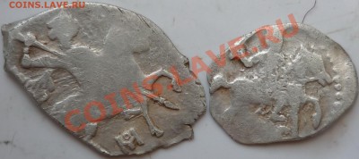 4 чешуйки прошу опознать - P1080512.JPG