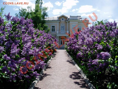 села(фото) - 079.JPG