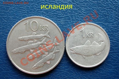 **обменник кот кота** (инострань) - исландия