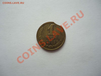 Копейка 1989 выкус. - DSC01203_thumb