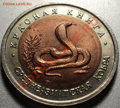 Комплект!Красная Книга 1992!!!До 11.05.2012!!! - DSC09448.JPG