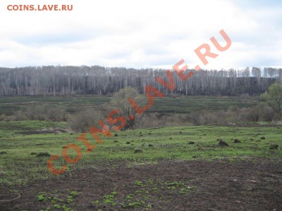 Кузбасский коп - IMG_3623