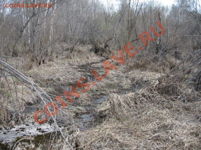 Кузбасский коп - IMG_3640