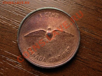 Канада 1 цент 1967 юбилейный до 11.05.12 в 21.00 М - IMG_9945