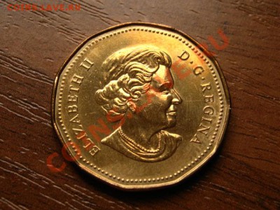 Канада 1 доллар 2004 Олимпийская Утка до 11.05.12 в 21.00 М - IMG_9884
