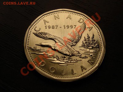 Канада 1 доллар 1997 Редкая Утка до 11.05.12 в 21.00 М - IMG_9860
