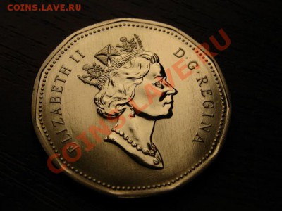 Канада 1 доллар 1997 Редкая Утка до 11.05.12 в 21.00 М - IMG_9859