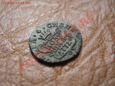 полушка 1771 сибирь до 14.05.12 22:00 по мск. вр. - DSC03161.JPG