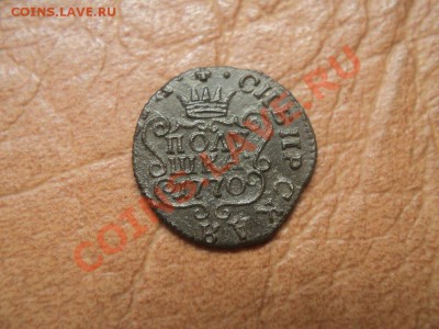 полушка 1770 сибирь до 14.05.12 22:00 по мск. вр. - DSC03162.JPG