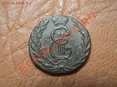 денга 1775 сибирь до 14.05.12 22:00 по мск. вр. - DSC03157.JPG