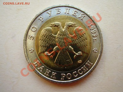 КРАСНАЯ КНИГА 1993г. Гималайский медведь до 16.05.2012г. - P4150006.JPG