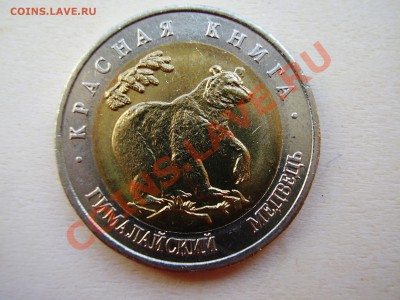 КРАСНАЯ КНИГА 1993г. Гималайский медведь до 16.05.2012г. - P4150011.JPG