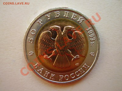 КРАСНАЯ КНИГА 1993г. Кавказский тетерев до 16.05.2012г. - P4150003.JPG