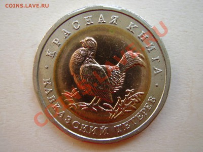 КРАСНАЯ КНИГА 1993г. Кавказский тетерев до 16.05.2012г. - P4150007.JPG