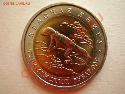 КРАСНАЯ КНИГА 1993г. Туркменский эублефар  до 16.05.2012г. - P41400104.JPG