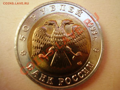 КРАСНАЯ КНИГА 1993г. Черноморская афалина до 16.05.2012г. - P4150008.JPG