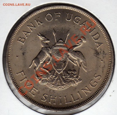 Уганда 5 шиллингов 1968 ФАО до 14.05.12 в 22.00мск (2340) - img170