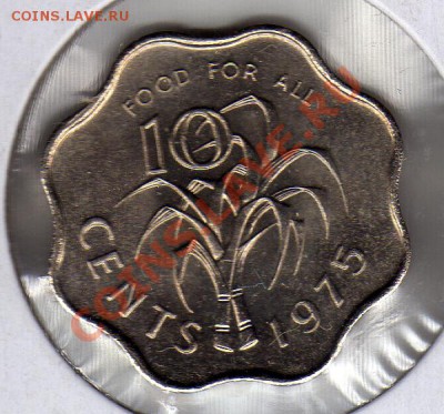 Свазиленд 10 центов 1975 ФАО до 14.05.12 в 22.00мск (2342) - img171