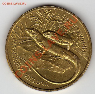 Польша 2 злотых 2009 Ящерицы до 14.05.12-22ч - img218