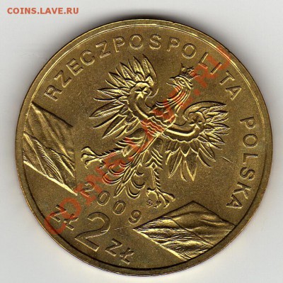 Польша 2 злотых 2009 Ящерицы до 14.05.12-22ч - img230
