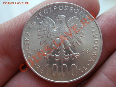 Ag! 1000 Злот 1982г Ян Павел2. До 13.05.2012г 22.00мск - P5055494.JPG