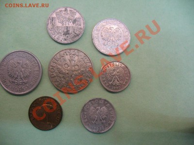 Монеты Польши - IMG_0731.JPG