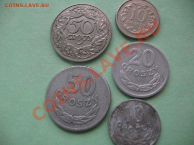 50 грошей Польша 1923 год - IMG_0752.JPG