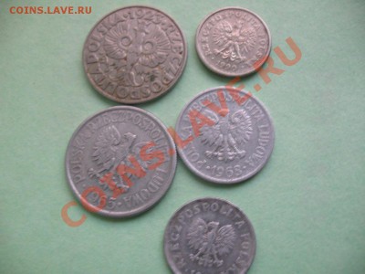 50 грошей Польша 1923 год - IMG_0753.JPG