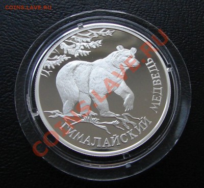 Серебро, РФ и СССР - 1 р 1994 Гималайский медведь 1