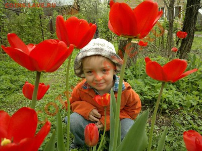 моему сынульке 1-2-3-4 годика))) - 06052012196