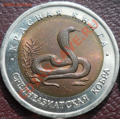 10 рублей 1992 Красная книга Кобра Смещение надписи - DSCN1985