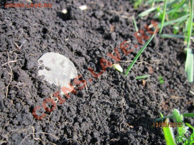 Кузбасский коп - IMG_0672